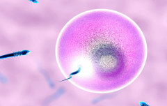 吉尔吉斯斯坦做试管婴儿包成功需要的条件有哪些？