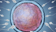 哈尔滨医科大学附属第一医院未婚女性试管婴儿成功率怎么样？