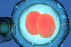 海外试管婴儿包成功机构靠谱吗？业内人士透露关键点