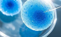 2026泰国三代试管助孕包成功可信吗？操作流程与注意事项全知道