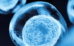 阜阳人民医院三代试管攻略：单身适用性、费用及成功率一览