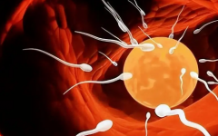 2026年大连单身去大连中山医院做试管成功率高吗？怀上几率高达50%