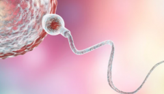 2026年未婚人士在常德市妇幼保健院做试管可行吗？完整流程与花费攻略