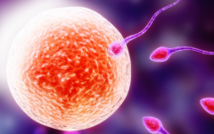 美国做试管助孕包成功可信吗？2026年价格与成功率权威对比