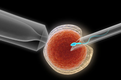 吉尔吉斯斯坦试管包成功生孩子的私立医院值得信赖吗？