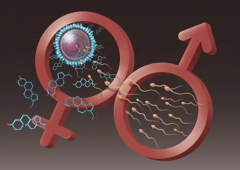 2026年襄阳市中心医院单身试管助孕费用完整清单