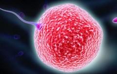 2026年在黑龙江天元妇产医院可以为单身人士做试管吗？