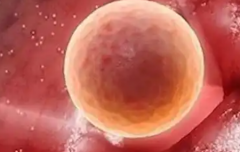 梧州工人医院试管攻略：无结婚证可行吗？费用与成功率一览