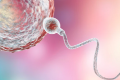 2026年西南医科大学附属医院未婚试管婴儿费用清单公布！