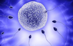 牡丹江无结婚证的单身女性能去哪里做试管助孕？牡丹江市妇幼可以做