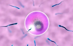 郑州大学第三附属医院接受无结婚证试管婴儿申请吗？费用及成功率一