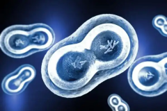 江苏南京市私立医院试管包成功可信度究竟如何？