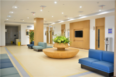 广东助孕公司排名前十名推荐 湛江市靠谱助孕机构