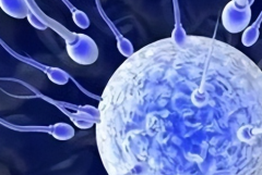 通化的单身女性可以去哪里做试管婴儿？梅河口市中心医院能做吗？