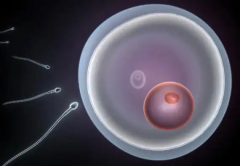 2026年在格鲁吉亚做三代试管包成功是真的吗？附医院介绍