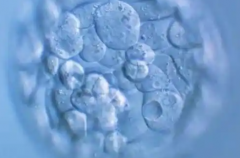 2026年未婚人士如何在新余做试管？新余妇幼可不可以做？