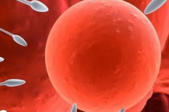 六盘水市妇幼保健院单身试管成功率数据揭秘：真实案例分享