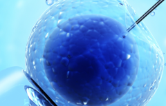 2026年俄罗斯三代试管包成功可信吗？真实操作步骤与注意要点