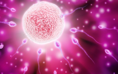 吉尔吉斯斯坦做试管助孕包成功可信吗？2026年价格与成功率权威对比