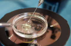 2026年在石家庄做三代试管婴儿真的能包成功吗？流程与注意事项全解析