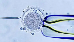 成都安琪儿医院单身试管成功率数据揭秘：真实案例分享