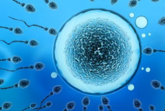 想要试管婴儿包成功需要哪些必要条件？