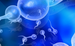 2026年单身女性去柳州市妇幼保健院做试管生孩子贵吗？完整费用可参考