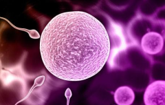 内蒙古妇幼未婚试管成功率真实数据是多少