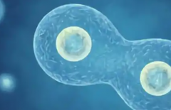 柬埔寨试管包成功私立医院靠谱吗？真实案例对比分析