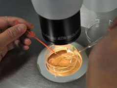 2026年没有结婚证去河南省妇产医院做试管可以吗？试管流程及费用攻略