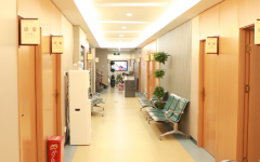 2026厦门助孕服务公司排名最新公布，专业团队助力生育计划