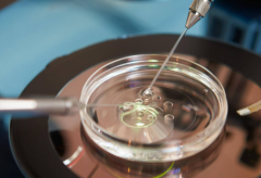 六安市中医院为单身做试管婴儿的成功几率大吗？