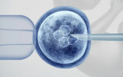 2026年没有结婚证想在汕大附一院做试管可以吗？流程步骤与费用一览