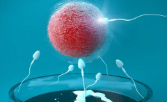 2026赴国外试管必看：三代试管技术包成功是否靠谱？