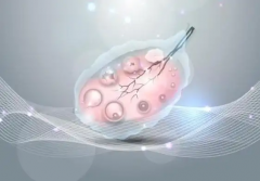 美国哪家做试管婴儿可以包怀上的？可信度高不高？