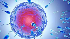 江苏南京市试管包成功套餐靠谱吗？业内人士透露选正规机构关键点