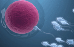 马来西亚三代试管婴儿一次成功率高吗？真实经历分享！