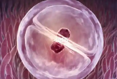 选择柬埔寨三代试管医院必看！成功率/包成功服务及出国次数指南