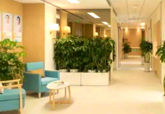 2026辽宁省沈阳市权威助孕公司盘点，服务项目及真实用户评价