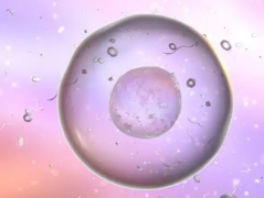 2026年未婚想做试管婴儿怎么办？赤峰市妇产医院可以操作吗？