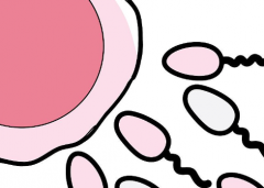 2026年广东省二院单身试管成功率及费用明细，真实经验分享