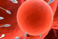 东莞东华医院三代试管攻略：单身适用性、费用及成功率一览