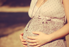 没有结婚证可以在交大一附院做试管吗？最新费用及成功率公布