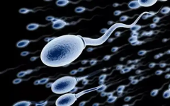 海口市保证试管包成功生孩子的私立医院可信度高吗？