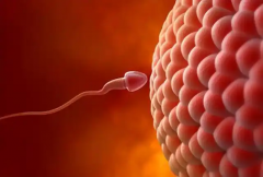 2026年没有结婚证能在北京大学第一医院太原医院做试管婴儿吗？详细流