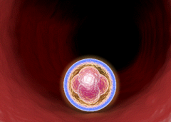 2026河北石家庄市三代试管婴儿花费清单曝光，这些助孕支出不可忽视