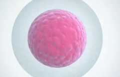 辽宁省单身女性在鞍山市妇儿医院做试管婴儿成功率有多高？