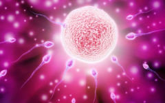 2026年单身人士在阳江人民医院做试管价格要多少？附详细费用明细