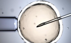 没有结婚证也能做试管？龙岩市第一医院单身未婚人群申请指南