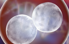 2026年未婚人士在常德妇幼做试管可行吗？完整流程与花费攻略